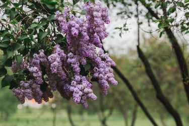 Similar image 21463783