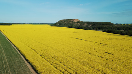 Similar image 21467294