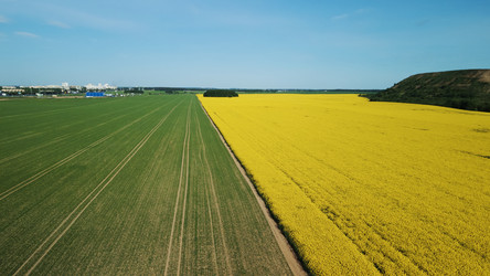 Similar image 21467296