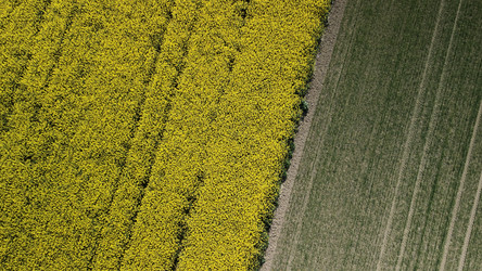 Similar image 21467297