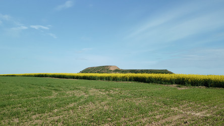 Similar image 21467298