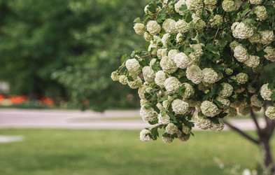 Similar image 21463793