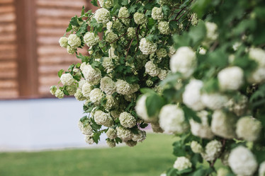 Similar image 21463794