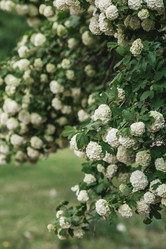 Similar image 21463797