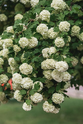 Similar image 21463799