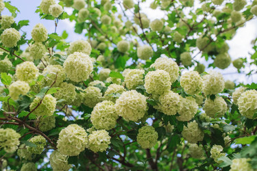 Similar image 21463818