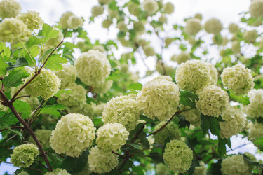 Similar image 21463819