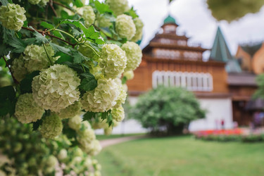 Similar image 21463820