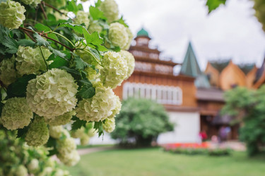 Similar image 21463821