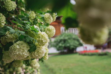 Similar image 21463823