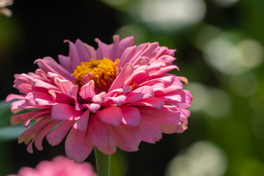 Similar image 21463033