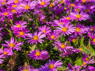 Similar image 21463037