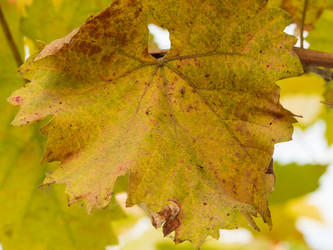 Similar image 21463038