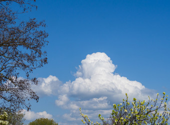 Similar image 21463043