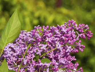 Similar image 21463044