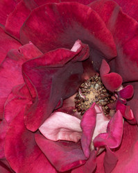 Similar image 21463045