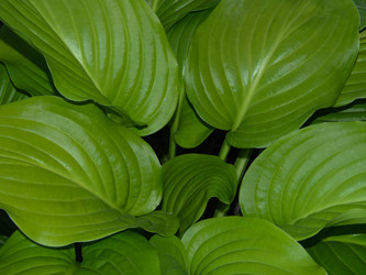 Similar image 21463047