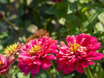 Similar image 21463058