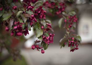 Similar image 21463095