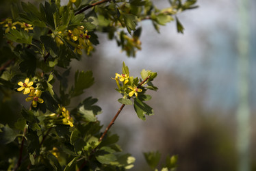 Similar image 21463096