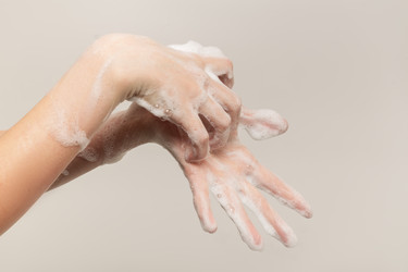 Similar image 21465957