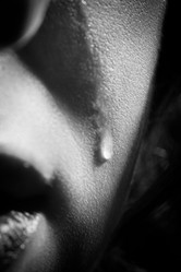 Similar image 21465959