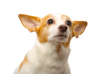 Similar image 21465964