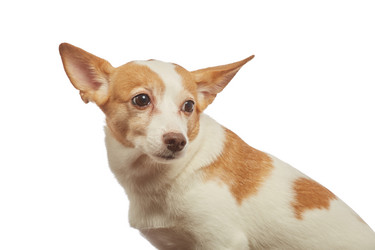 Similar image 21465969