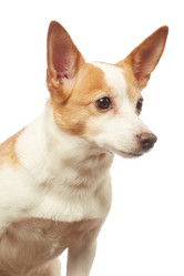 Similar image 21465984