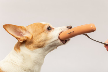 Similar image 21466168