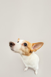 Similar image 21466173