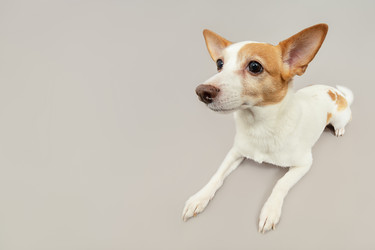 Similar image 21466185