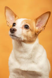 Similar image 21466186