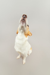 Similar image 21466189