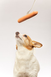 Similar image 21466191