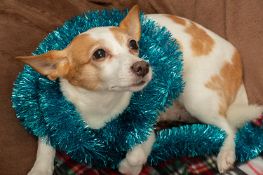 Similar image 21466197