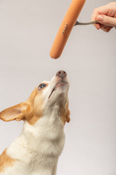 Similar image 21466202