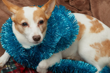 Similar image 21466206