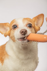 Similar image 21466209