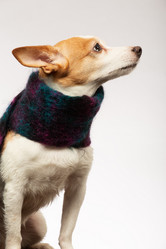 Similar image 21466211