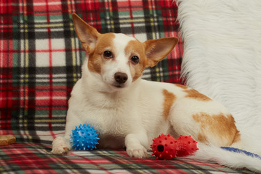 Similar image 21466218