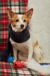 Similar image 21466219