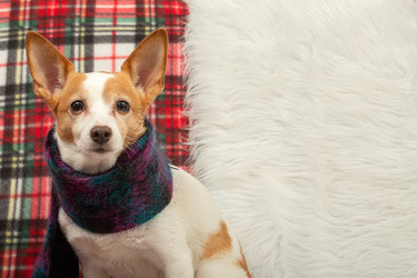 Similar image 21466220