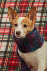 Similar image 21466221