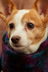 Similar image 21466222