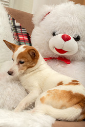 Similar image 21466537