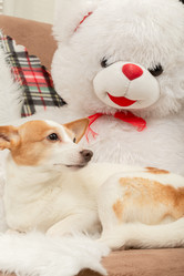 Similar image 21466538