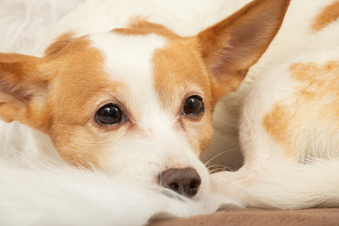 Similar image 21466539