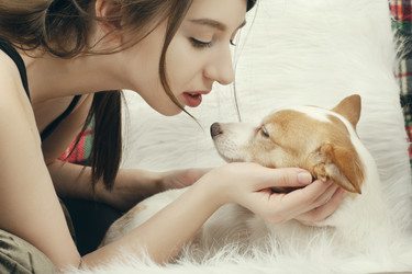 Similar image 21466545