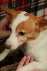 Similar image 21466546